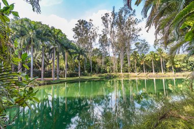 Brumadinho, Minas Gerais, Brezilya. Inhotim bahçeleri ve lake görünümü
