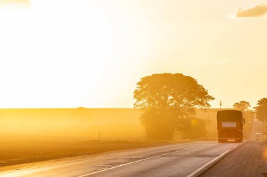 Şeker kamışı kamyon yolda