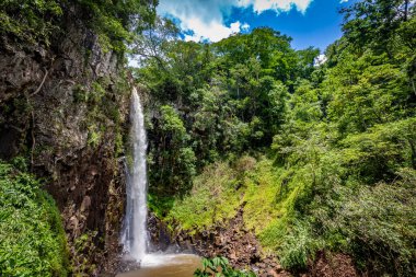 Ecopark Cassorova 'da Quatis şelalesi. Brotas Şehri, Sao Paulo -