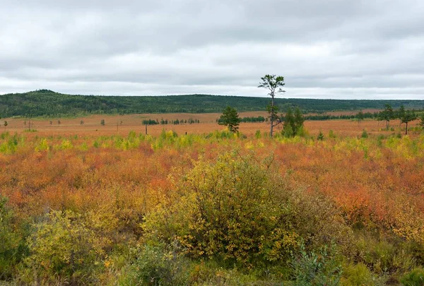 Rusya, Amur bölgesi, yatay.