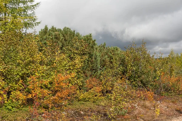 Russia, Amur region, landscape. — Stock Photo, Image