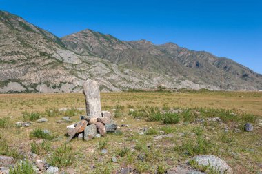 Ininsky stel. Dağ Altay.