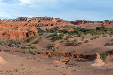 Moğolistan. Gobi Çölü. Doğal sınır Hermen-Tsav. 