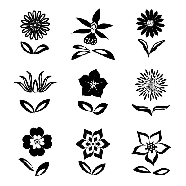 Blomma ikoner set. Kamomill, daisy, orchid, kryddnejlika. Blommig symboler. Platt grafiska tecken med blad. Svarta silhuetter på vit bakgrund. Vector isolerade — Stock vektor