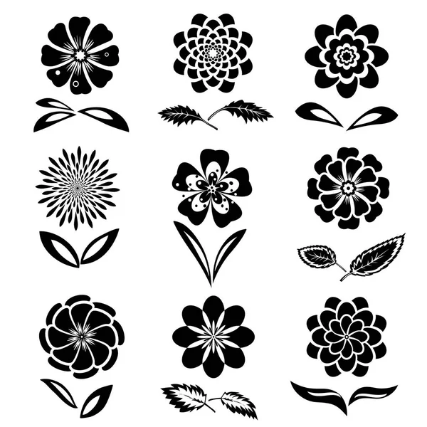 Dahlia, aster, papatya, papatya, gowan, anemon çiçeği, orkide çiçek kümesi. Bahar ve yaz çiçekler. Yaprakları ile çiçek siyah sembolleri. Mutfağında kullanılan. İzole vektör.