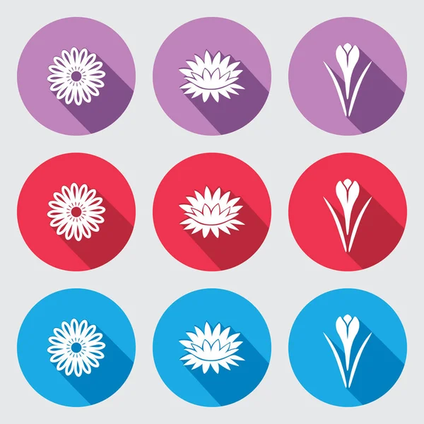 Flower icon set. Chamomile, daisy, lily, crocus, saffron. Floral symbol. White silhouette on round flat buttons with long shadow. Red, blue, violet signs. Vector isolated. — Stock Vector