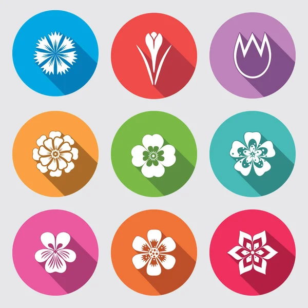 Çiçek Icon set. Papatya, papatya, Lale orkide bitkisi, safran Peygamber Çiçeği dahlia aster gowan. Çiçek, otlar sembolü. Yuvarlak renkli düz işaretleri uzun gölge ile. Vektör