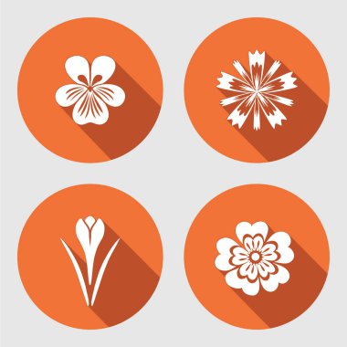 Çiçek kümesi. Çuha çiçeği, viyola, mavi haşhaş bitkisi, safran. Bahar çiçekleri. Yaprakları çiçek sembollerle. Renkli simgeler. Mutfağında kullanılan. İzole vektör.