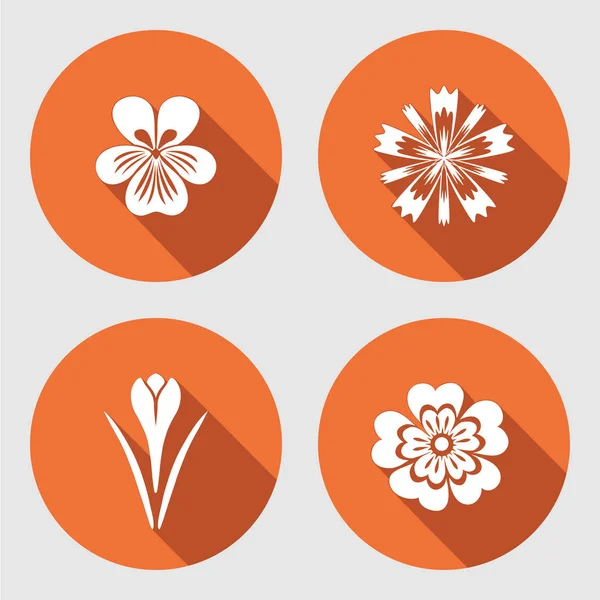 Flower set. Primula, viola, blue poppy, Crocus, Saffron. Spring flowers. Floral symbols with leaves. Color icons. May be used in cuisine. Vector isolated. — Stock Vector