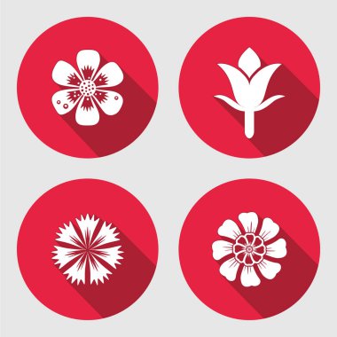 Çiçek Icons set. Papatya, papatya, mavi haşhaş, karanfil. Çiçek sembolleri. Yuvarlak daire düz işareti uzun gölge ile. Mutfağında kullanılan. Vektör