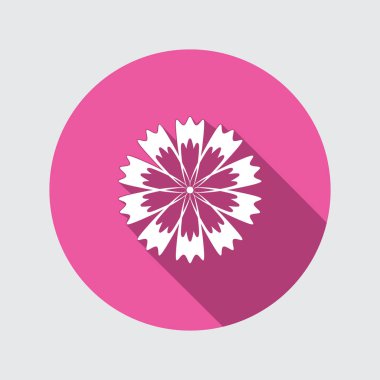 Peygamber Çiçeği, mavi haşhaş, kantaron, knapweed çiçek simgeler. Bahar çiçek, şifalı otlar sembolü. Yuvarlak daire uzun gölge ile düz simgesi. Vektör