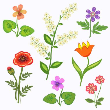 Çiçek kümesi. Nasturtium, çuha çiçeği, viyola, anemon, gelincik, Lale, kuş kiraz. Bahar çiçekleri. Yaprakları çiçek sembollerle. Renkli simgeler. Mutfağında kullanılan. İzole vektör.