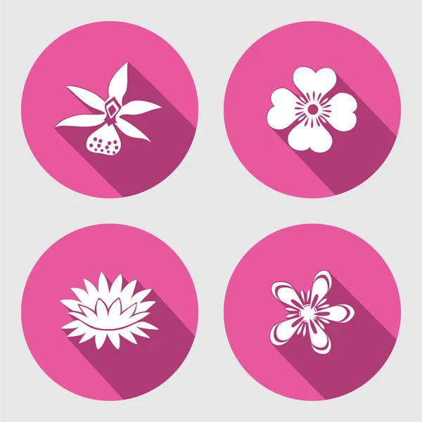 Λουλούδι σετ εικονιδίων. Ανεμώνη, χαμομήλι, ηελοχάρης, κρίνος, Νούφαρο, ορχιδέα. Floral σύμβολο. Κύκλος γύρω από επίπεδες σημάδι με πολύ σκιά. Διάνυσμα — Διανυσματικό Αρχείο