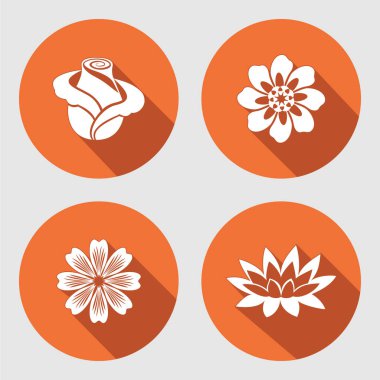 Çiçek Icons set. Rose, papatya, mavi haşhaş, daisy, gowan, lily, nilüfer. Çiçek sembolleri. Yuvarlak daire düz işareti uzun gölge ile. Vektör