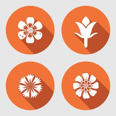 Çiçek Icons set. Papatya, papatya, mavi haşhaş karanfil. Bahar çiçekleri. Yaprakları çiçek sembollerle. Renk işaretler. Mutfağında kullanılan. İzole vektör.