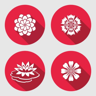 Çiçek Icons set. Lily, mavi haşhaş, papatya papatya gowan. Çiçek sembolleri. Yuvarlak daire düz işareti uzun gölge ile. Vektör