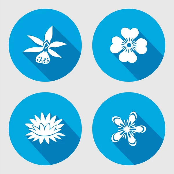 Conjunto de iconos de flores. Anémona, manzanilla, no me olvides, lirio, nenúfar, orquídea. Los símbolos florales. Signo plano círculo redondo con sombra larga. Vector — Archivo Imágenes Vectoriales