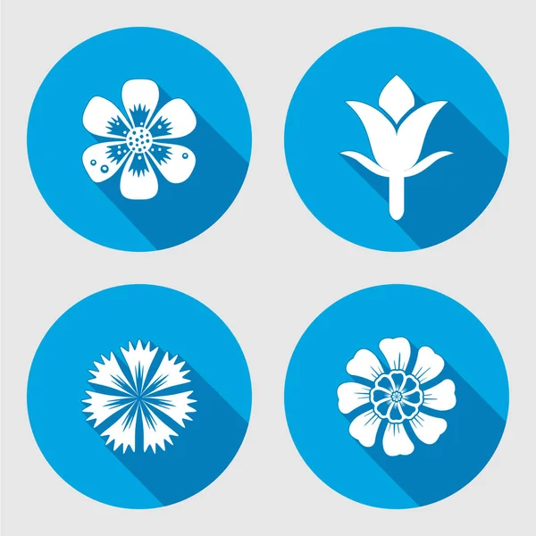Conjunto de ícones de flores. Camomila, margarida, papoula azul, cravo. Símbolos florais. Sinal plano círculo redondo com sombra longa. Pode ser usado na cozinha. Vetor — Vetor de Stock