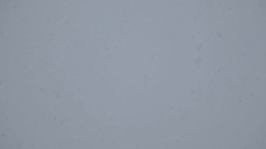 Kışın gökyüzünde büyük kar taneleri.