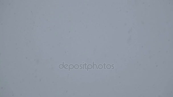 冬天天空中的大雪花 — 图库视频影像