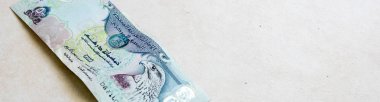 BAE 500 dirhem banknot