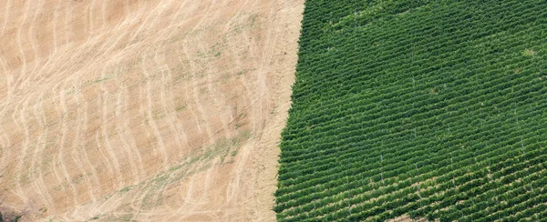 Tipico paesaggio rurale italiano — Foto Stock