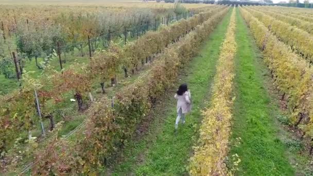 Luftaufnahme Video Der Laufenden Brünetten Frau Weinberg Plantage — Stockvideo