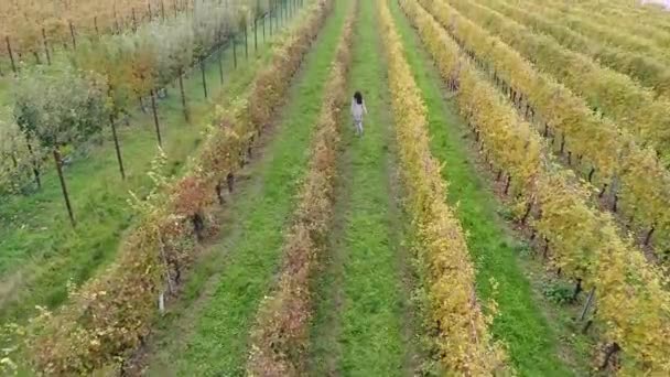 Vue Aérienne Vidéo Femme Brune Train Courir Dans Une Plantation — Video