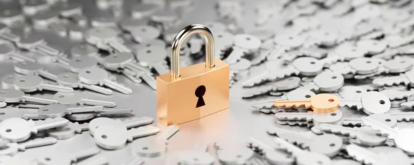 One Padlock Infinite Keys Metaphor Problems Solutions Risk Management Original — Stock Photo, Image