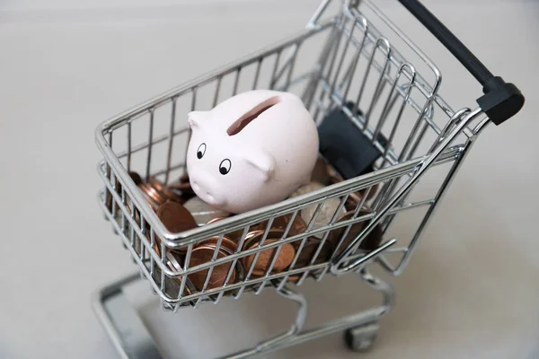 Happy piggy bank with a shopping cart full of dollars — ストック写真