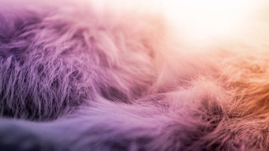 Kürklü kumaş arkaplanı, boşluk renkli arkaplanı kopyala