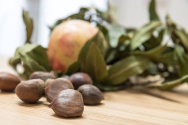 Sonbahar ve kış mevsimsel arka plan, kestane ve nar ile