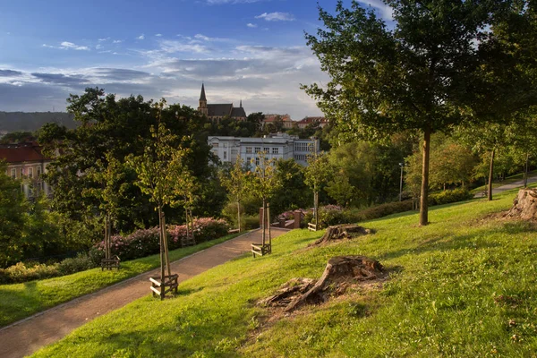 Ztracenka bahçeleri ile Apolinar güneşli görünümü kilise.