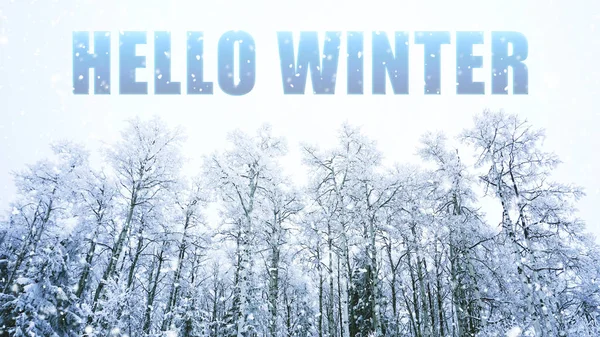 Hello WINTER words on winter background