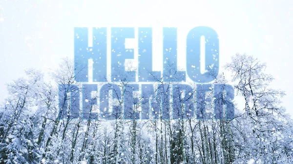 Hello December words on winter background — Stock Photo, Image