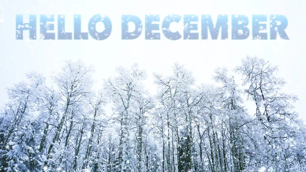 Hallo van December woorden op winter achtergrond — Stockfoto