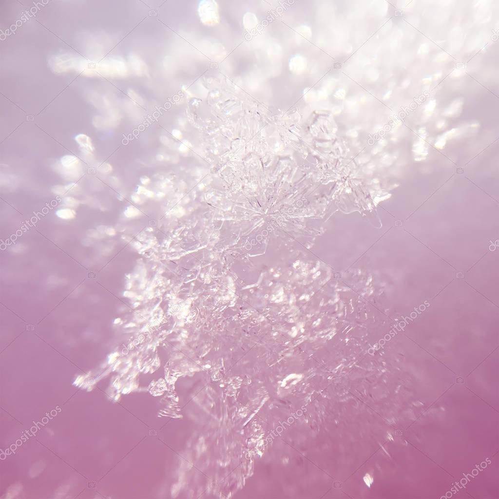 snowflakes close-up on white pink glitter bokeh background