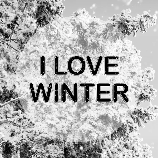 Ik hou van winter woorden op winter achtergrond — Stockfoto