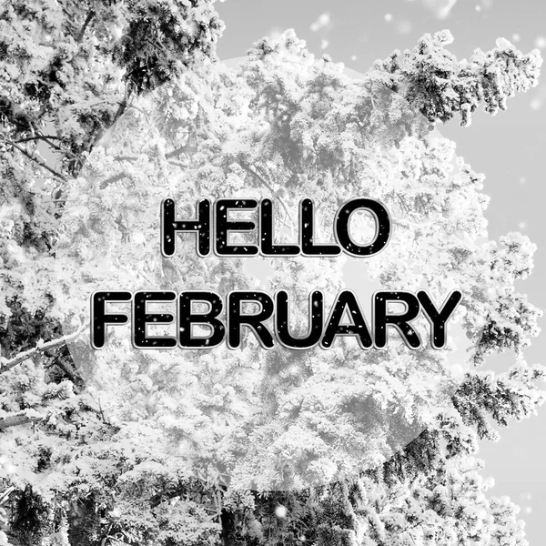 Hallo februari woorden op winter achtergrond — Stockfoto