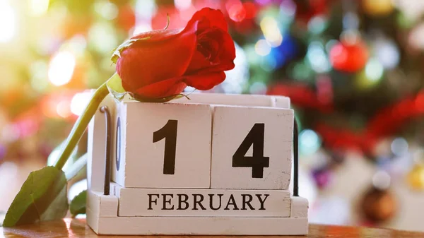 14 février sur calendrier cube en bois, rose rouge sur flou coloré b — Photo