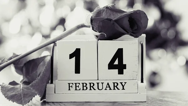 14 februari op houten kubus kalender, rode roos op vervagen bokeh terug — Stockfoto
