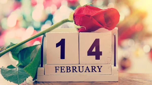 14 février sur calendrier cube en bois, rose rouge sur flou coloré b — Photo