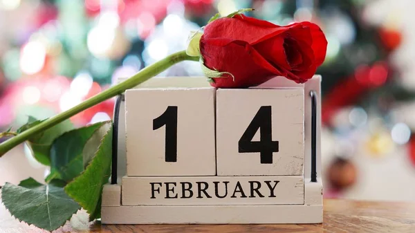 14 de febrero en el calendario de cubos de madera, rosa roja en color borroso b — Foto de Stock