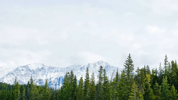Βουνά καλυμμένα με χιόνι στο εθνικό πάρκο — Φωτογραφία Αρχείου