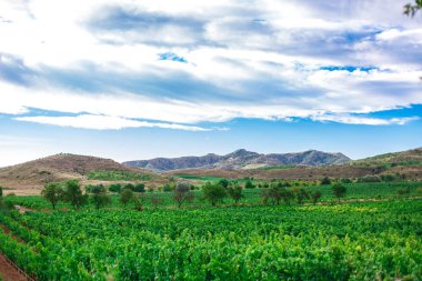 Güzel manzara, İspanya