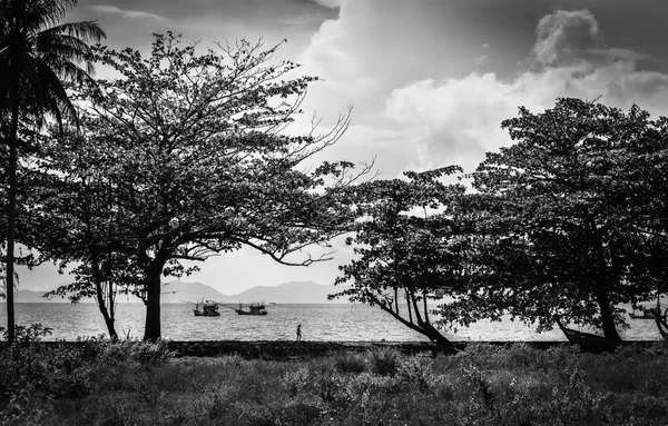 Schöne Landschaft mit Meer — Stockfoto