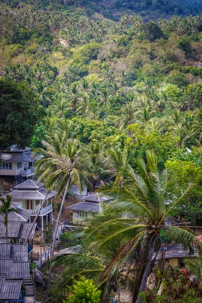 Taket bungalows i palm djungeln — Stockfoto