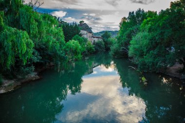 Yemyeşil ağaçlar ve göl