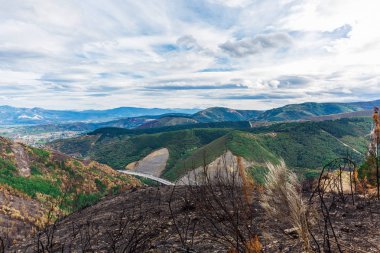 Dağlarda yanmış ormanı
