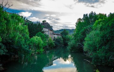 Yemyeşil ağaçlar ve göl